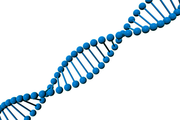 Modelo 3D de molécula de ADN aislado sobre fondo blanco. Ilustración 3D de Ciencia y concepto médico. Modelo de cadena azul
 - Foto, imagen