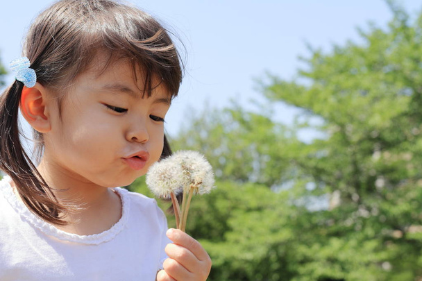 Japanese girl blowing dandelion seeds under the blue sky (3 years old) - Photo, Image