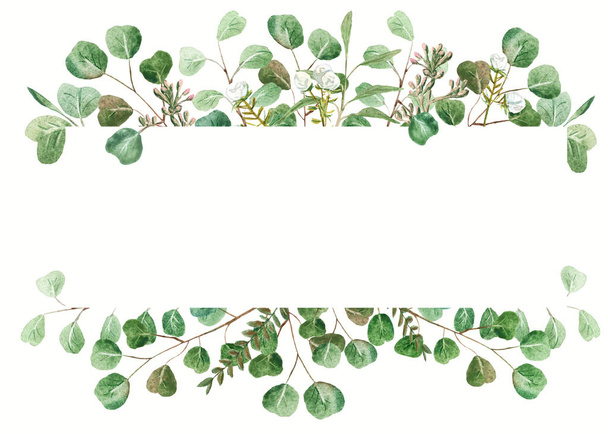Eucalyptus frame on white - Foto, Bild