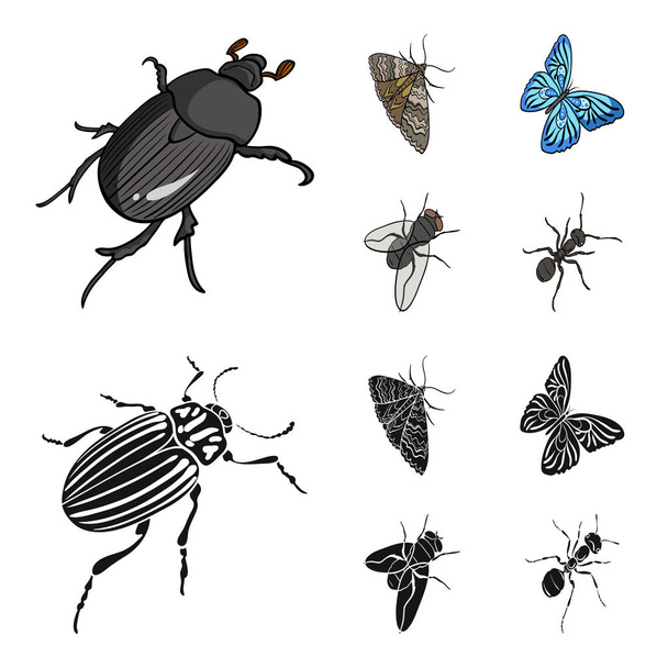 Членистоногие насекомое жук, моль, бабочка, летать. Насекомые устанавливают иконки коллекции в мультфильме, черный стиль векторных символов запаса изометрической иллюстрации паутины
. - Вектор,изображение