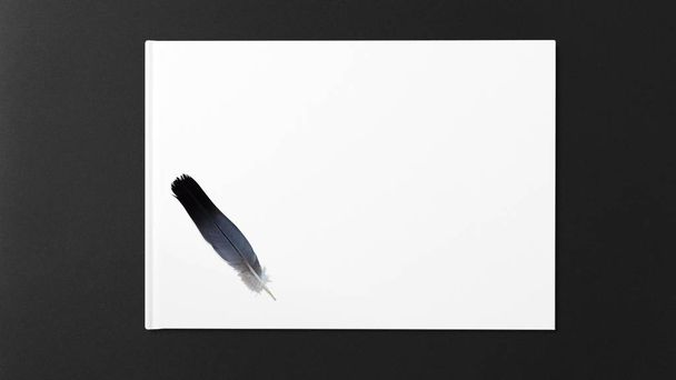 bird feather lying on a white paper piece on dark background with copy space - Fotó, kép
