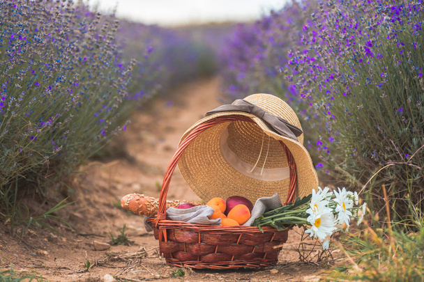 美しいバスケットの桃、カモミールの花とフランスのプロヴディフ、ブルガリア パザルジク州近くの驚くべき咲くラベンダー フィールドにそれの上に麦わら帽子とバゲット - 写真・画像