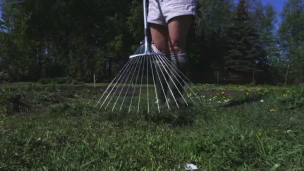 Donna che utilizza rastrello in giorno d'estate
 - Filmati, video