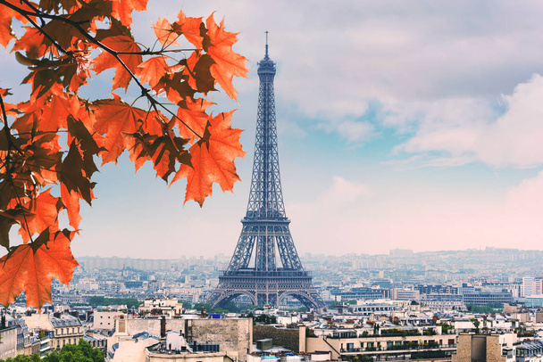 Παρίσι red ο σφένδαμνος και Πύργος του Άιφελ το φθινόπωρο τα φύλλα το φθινόπωρο ημέρα - Φωτογραφία, εικόνα