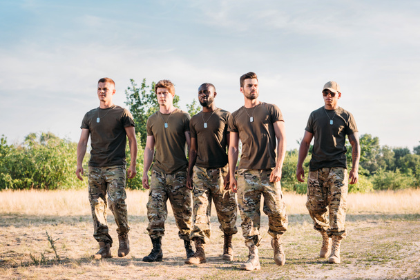 Smíšené rasy vojáků ve vojenské uniformě s značky psy chůzi na rozsahu v letním dni - Fotografie, Obrázek