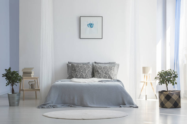 Grey bed between plants in white simple bedroom interior with poster and round rug. Real photo - Фото, зображення