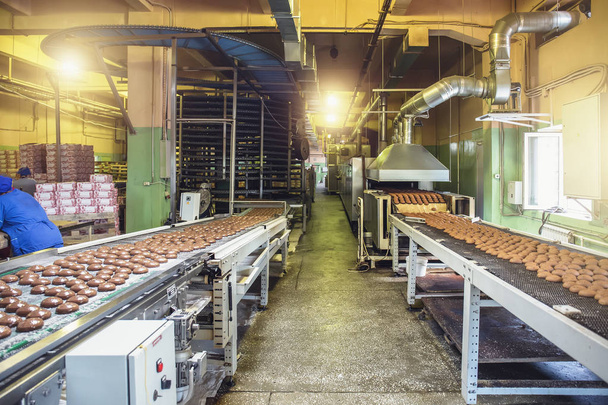 Linea di produzione automatizzata e nastro trasportatore all'interno della moderna fabbrica di panifici. Macchine e attrezzature per la cottura di biscotti e biscotti dolciari. Produzione alimentare industriale
 - Foto, immagini