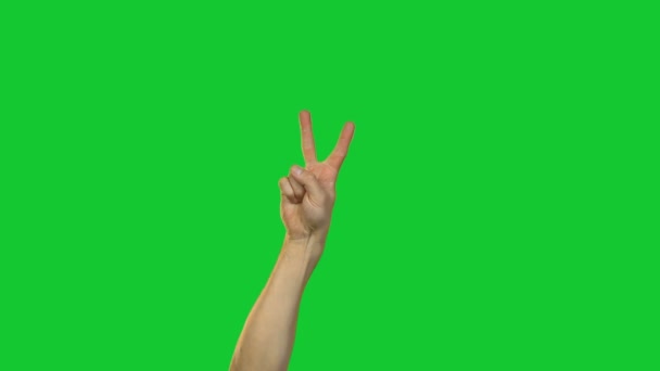 Мужской жест мира на зеленом фоне
 - Кадры, видео