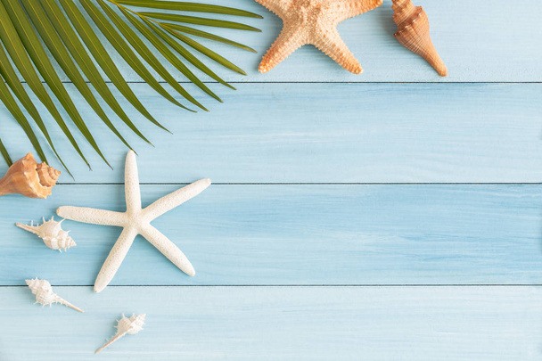 Flat lay photo coconut leaf and seashell on blue wood background , summer concept top view and copy space for montage your product - Φωτογραφία, εικόνα