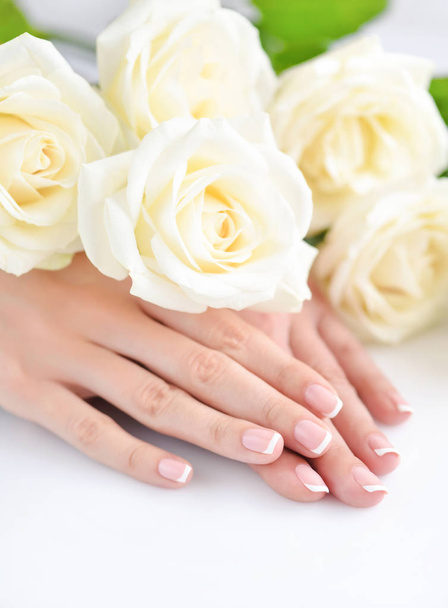 Manos de una mujer con hermosa manicura francesa y rosas blancas - Foto, imagen