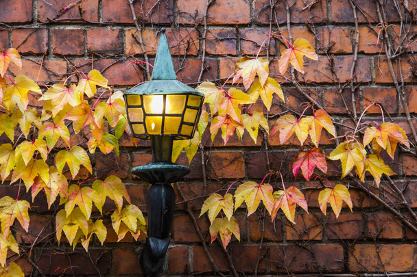Laterne mit Herbstblättern an Ziegelmauer - Foto, Bild