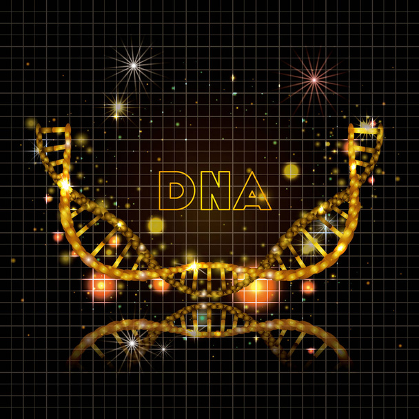 dna 分子の半円形黄金の構造 - ベクター画像