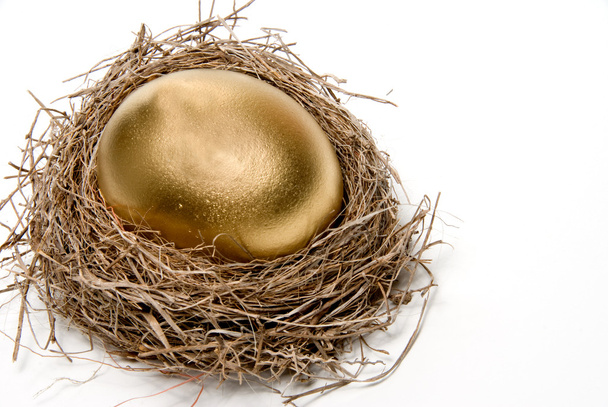 Golden Egg - Foto, imagen