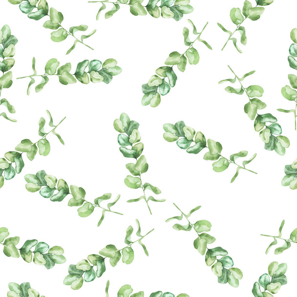 Seamless pattern with green fresh eucalyptus branches on white background. Hand drawn watercolor illustration. - Fotografie, Obrázek
