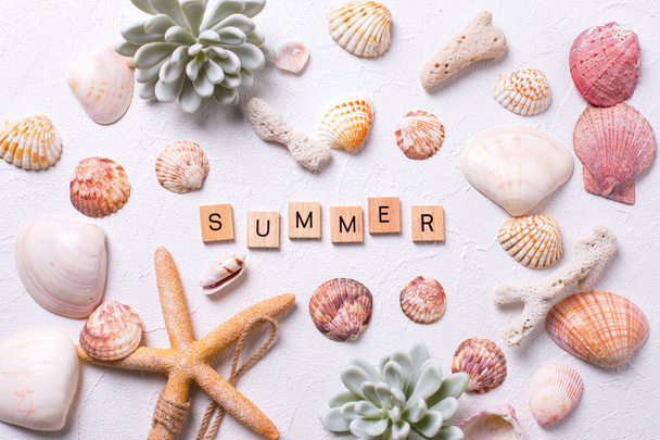 Summer background. Marine  decorations  and word  summer  on white textured  background. Sea star, shells, coral, succulent echeveria. Sea objects. Selective focus.  - Valokuva, kuva