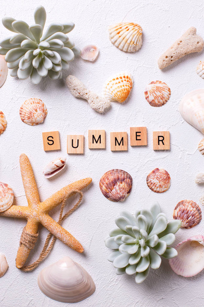 Marine  decorations  and word  summer  on white textured  background. Sea star, shells, coral, succulent echeveria. Sea objects. Selective focus. Vertical image. - 写真・画像