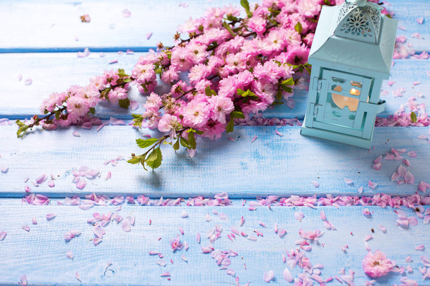Background  with  pink  sakura flowers  and decorative lantern with candle on blue wooden planks. Selective focus. Place for text. - Φωτογραφία, εικόνα