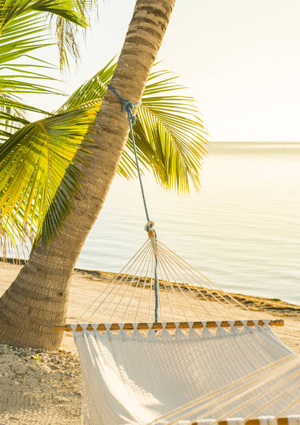 Hamaca tranquila de las vacaciones en la playa tropical de la palma
 - Foto, Imagen