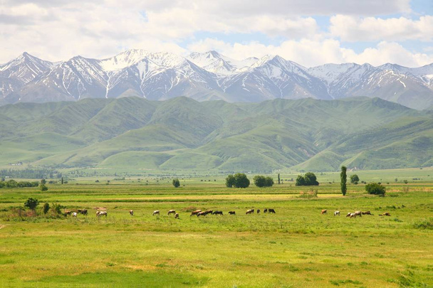 El hermoso paisaje en Biskek con las montañas Tian Shan de Kirguistán
 - Foto, Imagen