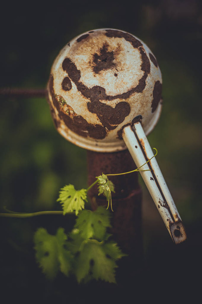 viejo cucharón oxidado colgando en el viñedo en el jardín
 - Foto, imagen