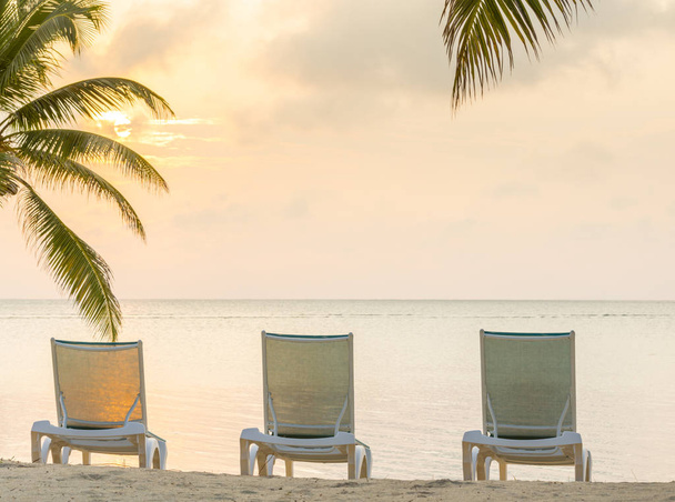 黄金色の太陽のコピー スペースを持つ熱帯のビーチ リゾートのヤシの木の上 - 写真・画像