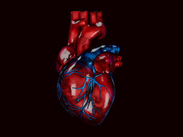 ανθρώπινη καρδιά, πολυγωνικά γραφικά 3d απεικόνιση μαύρο φόντο. - Φωτογραφία, εικόνα