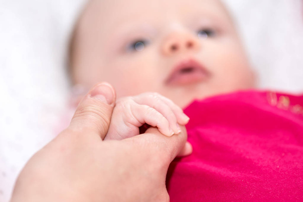 Χέρι πατέρα, κρατώντας το χέρι μικροσκοπικά μωρό - Φωτογραφία, εικόνα