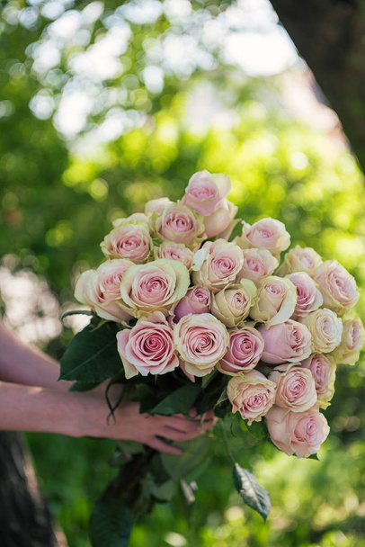 Mani femminili in possesso di bouquet di bellezza di rose rosse
 - Foto, immagini