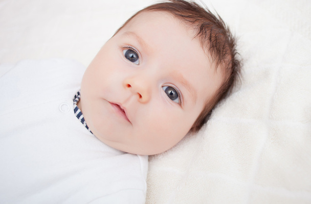 beautiful newborn boy - Foto, immagini