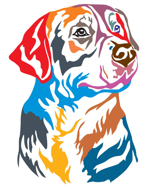 Colorful decorative portrait of Greater Swiss Mountain Dog, vector illustration in different colors isolated on white background. Image for design and tattoo.  - Vector, Image