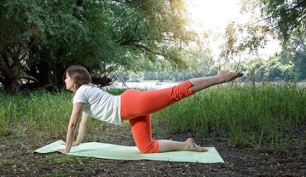 woman stretching in nature - fitness, sport, training and lifestyle concept - Valokuva, kuva