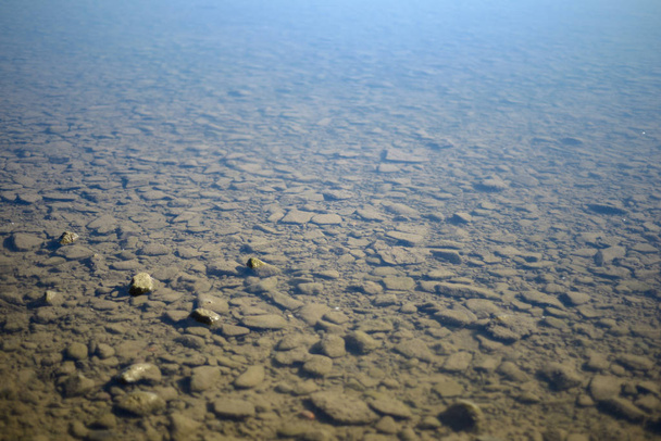 Sok szürke kövek és kagylók a sekély vízben áztatni. Rajna Németországban. - Fotó, kép
