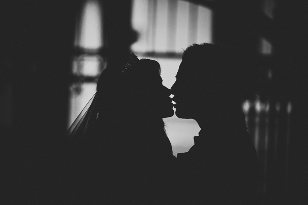 backlit lovers on the beach kissing - Фото, изображение
