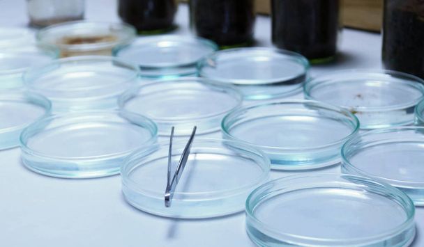 Petrischalen auf dem Tisch im Labor - Foto, Bild