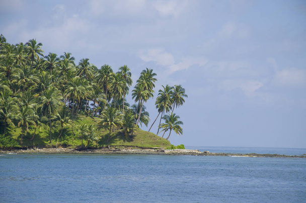 Krásná krajina palem a moře z Andamanských a Nikobarských ostrovů v Indii - Fotografie, Obrázek