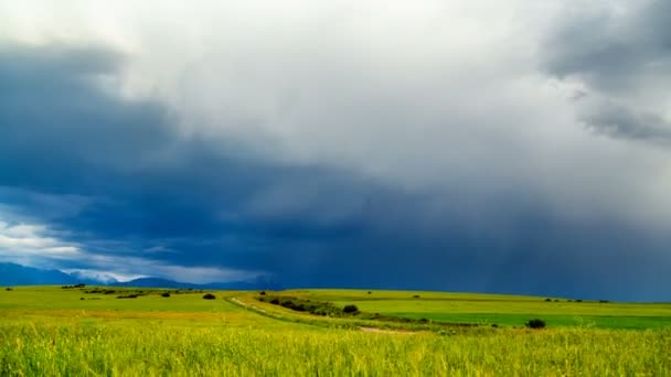 Bouřlivých mračen nad pole pšenice osvětlena Sluncem. 4k Timelaps - Záběry, video