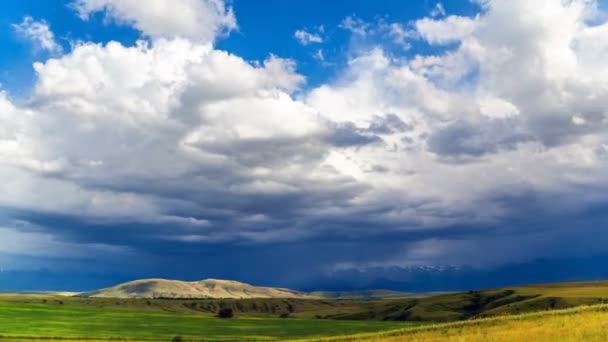 Regenwolken über den Weizenfeldern, im von der Sonne erleuchteten Hochland. Zeitraffer von 4k - Filmmaterial, Video