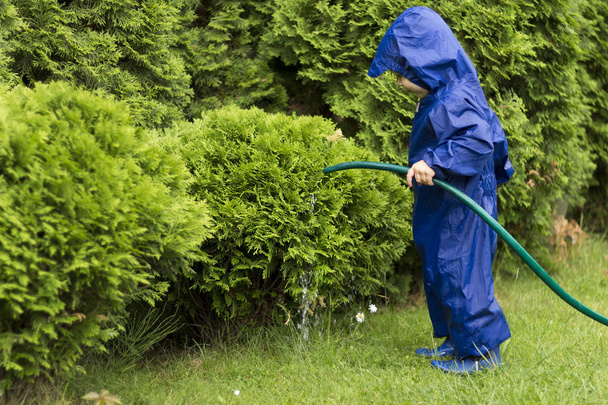 Toddler Playing with watering hose in green garden. Young gardener pouring bushes. Copy space - Photo, Image