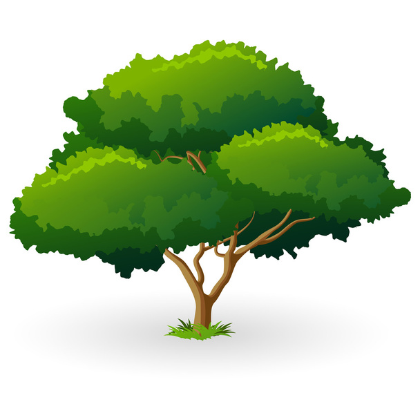 Green Tree - Vector, imagen