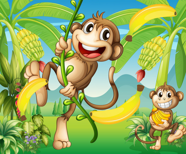 zwei Affen in der Nähe der Bananenpflanze - Vektor, Bild