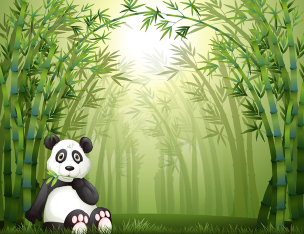パンダのクマや竹の森 - ベクター画像