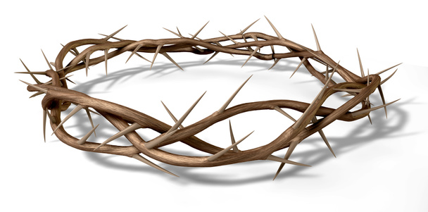 A Crown Of Thorns - Photo, Image