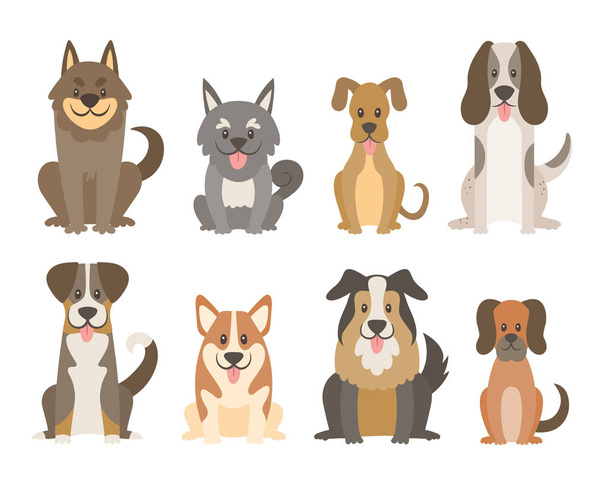 Sammlung verschiedener Arten von Hunden isoliert auf weißem Hintergrund. Niedliche Hunde im Cartoon-Stil sitzen in Frontansicht. Vektorillustration. - Vektor, Bild