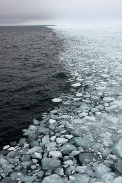 Glace marine arctique
 - Photo, image