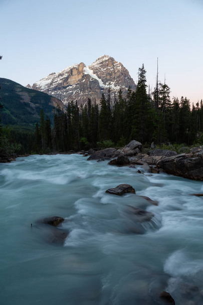 Beautiful landscape view on the river flowing in the Canadian Rockies during a sunny sunrise. Taken in Banff, Alberta, Canada. - 写真・画像
