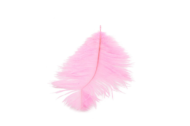 fluffy feather in pink color isolated on the white - Foto, imagen