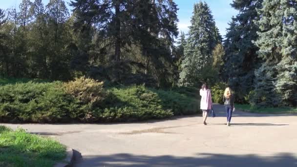 Antiguo parque con árboles de coníferas en primavera en un día soleado. La gente pasea por la avenida del parque
 - Imágenes, Vídeo