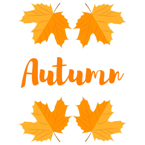 Autumn maple leaf - Vector, Image