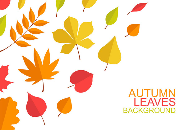 El otoño deja el fondo. estilo plano. aislado sobre fondo blanco
 - Vector, Imagen