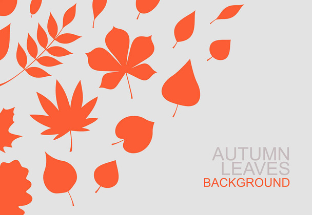 Fondo de hojas rojas de otoño. estilo plano. aislado sobre fondo gris
  - Vector, Imagen